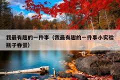 我最有趣的一件事（我最有趣的一件事小实验瓶子吞蛋）