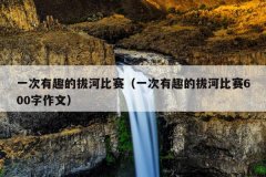 一次有趣的拔河比赛（一次有趣的拔河比赛600字