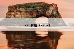 kali有趣（kalix）