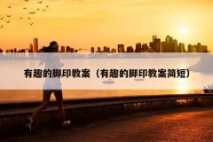 有趣的脚印教案（有趣的脚印教案简短）