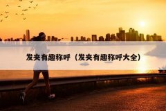 发夹有趣称呼（发夹有趣称呼大全）