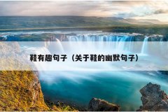 鞋有趣句子（关于鞋的幽默句子）