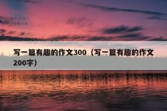 写一篇有趣的作文300（写一篇有趣的作文200字）