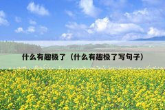 什么有趣极了（什么有趣极了写句子）