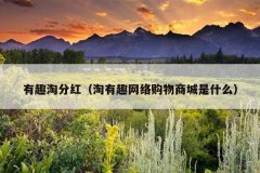 有趣淘分红（淘有趣网络购物商城是什么）