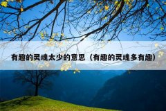 有趣的灵魂太少的意思（有趣的灵魂多有趣）